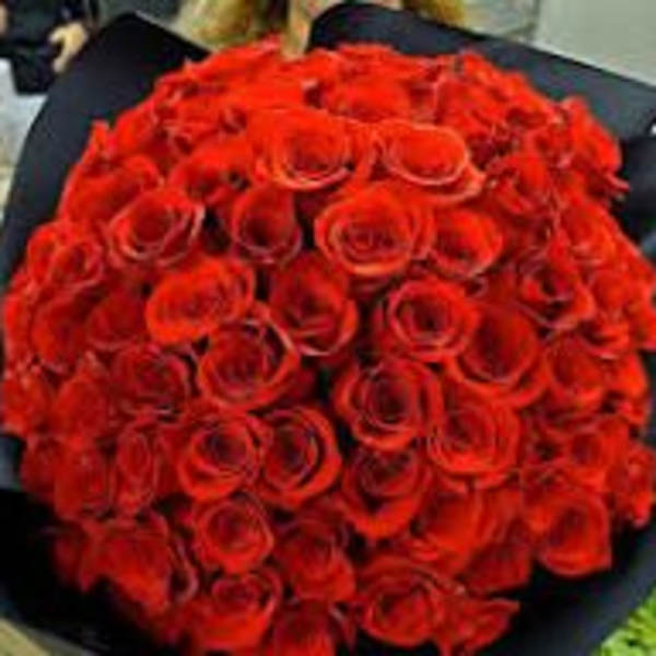 Large bouquet of red roses wrapped in dark paper