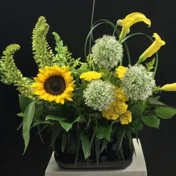 Yellow calla lilies and a sunflower in a black vase