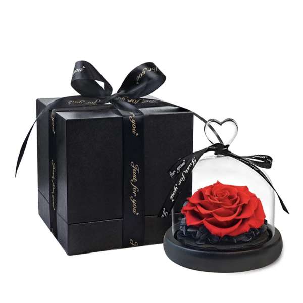 Red rose under a glass dome beside a black gift box with ribbon