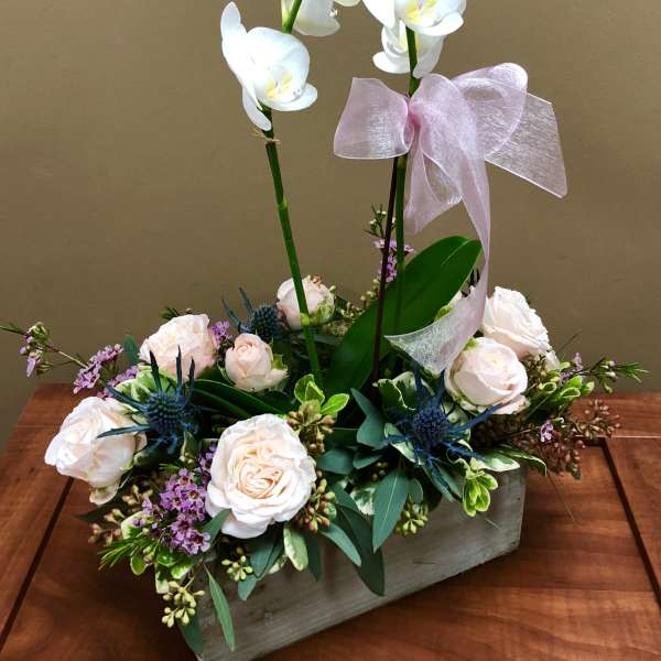 White orchid stems with blush roses and blue accents in a wooden box with a pink bow.
