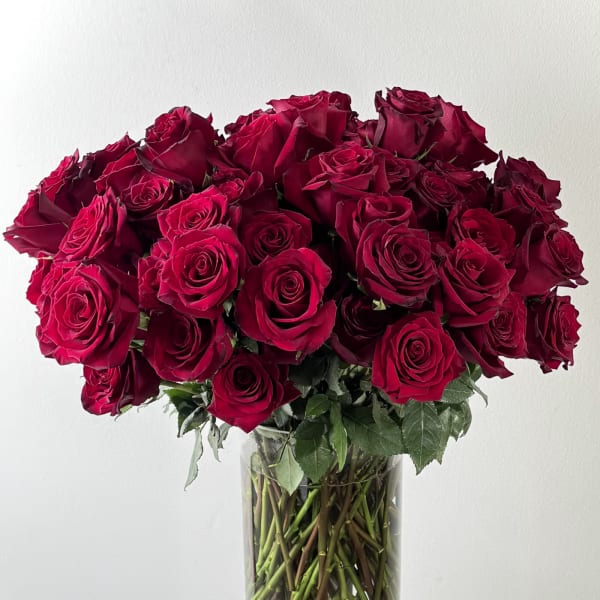100 Red Roses