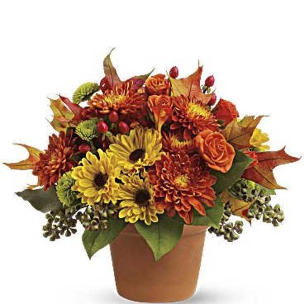 Autumn bouquet of orange and yellow flowers in a terracotta pot