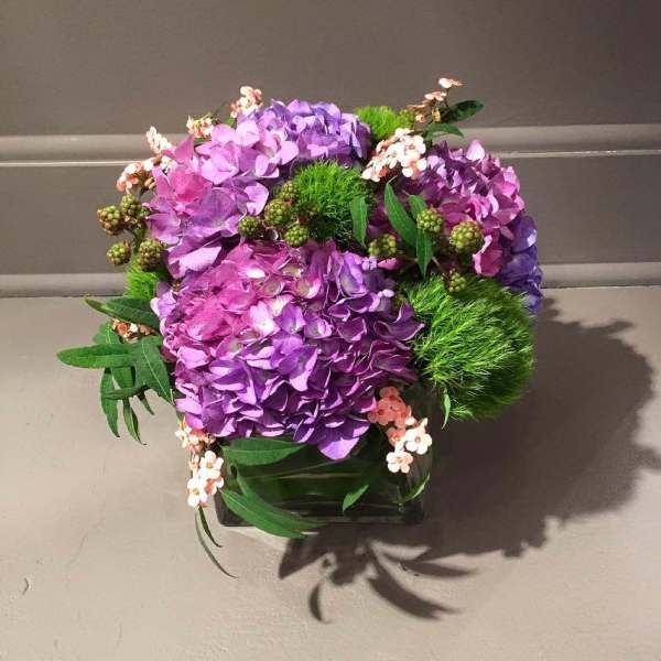 Purple hydrangea arrangement with green accents in a square vase
