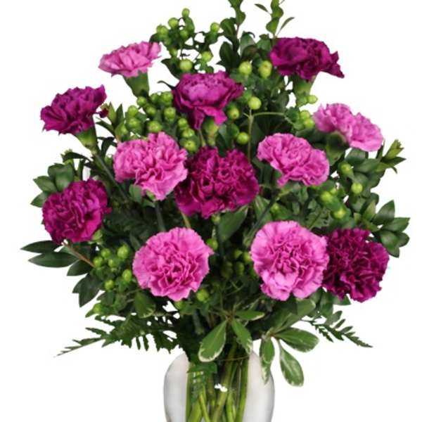 Vase of bright magenta and purple carnations with green berry accents in a clear glass vase