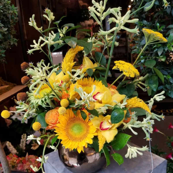 Wild Sunflower Medley