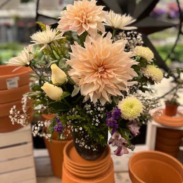 Pocketful of Sunshine