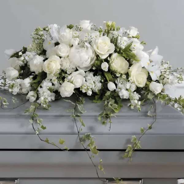 Classic White Sympathy