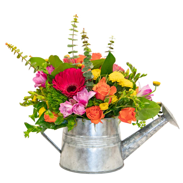 Bright mixed arrangement of pink, orange, yellow, and green flowers in a silver metal watering can