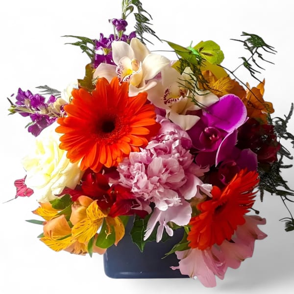 Vibrant Blossom Beauty Designer's Choice