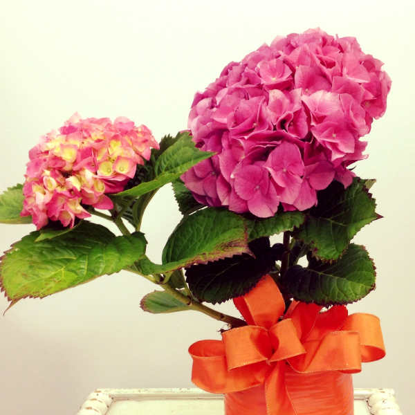 Contained landscaping