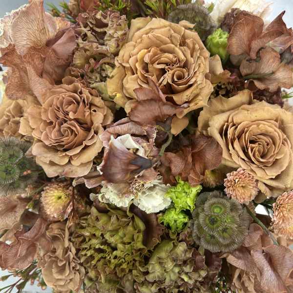 Fifty Shades of Beige