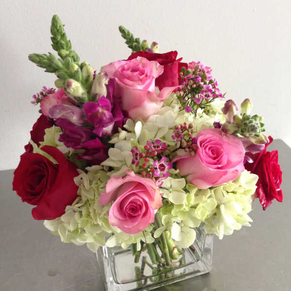 Pink and red roses with white hydrangeas in a clear square vase