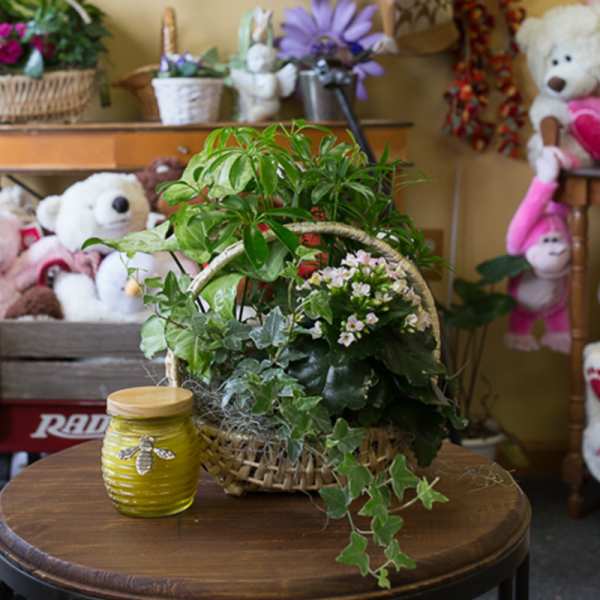 Basket of green plants with small pink flowers beside a yellow candle jar