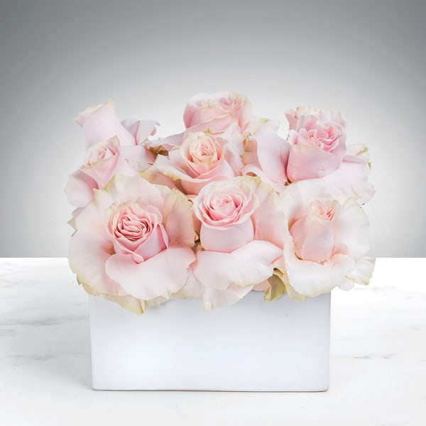 Compact arrangement of pale pink roses in a low white rectangular vase