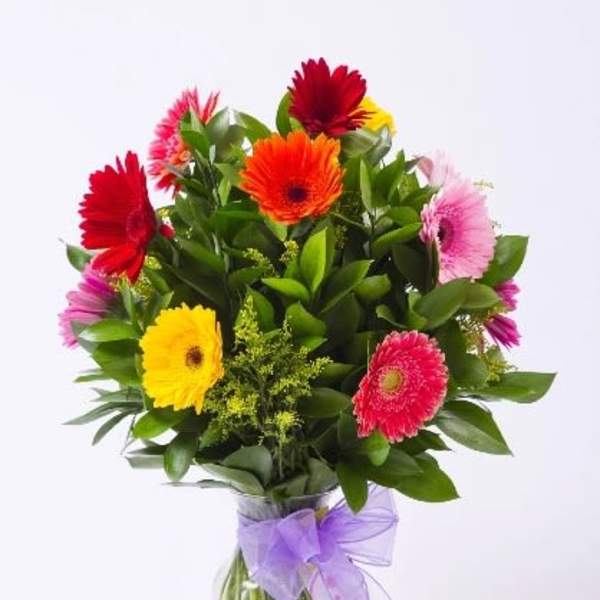 DOZEN GERBERA DAISY ARRANGEMENT