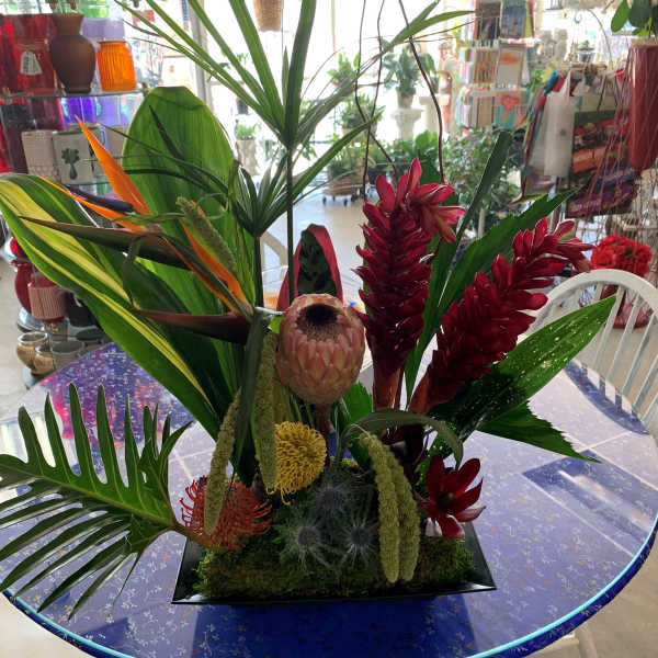 Tropical floral arrangement with red blooms and large green leaves in a black vase