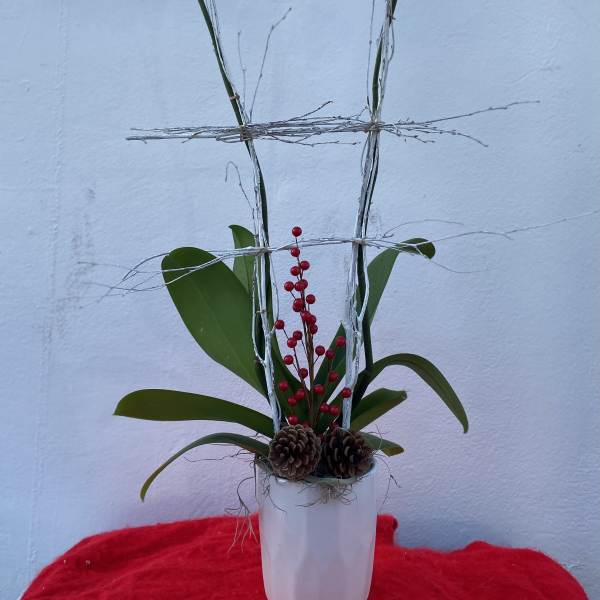 White orchids in a white vase with red berries and pinecones