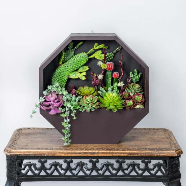 Succulent arrangement in a dark octagonal wall planter