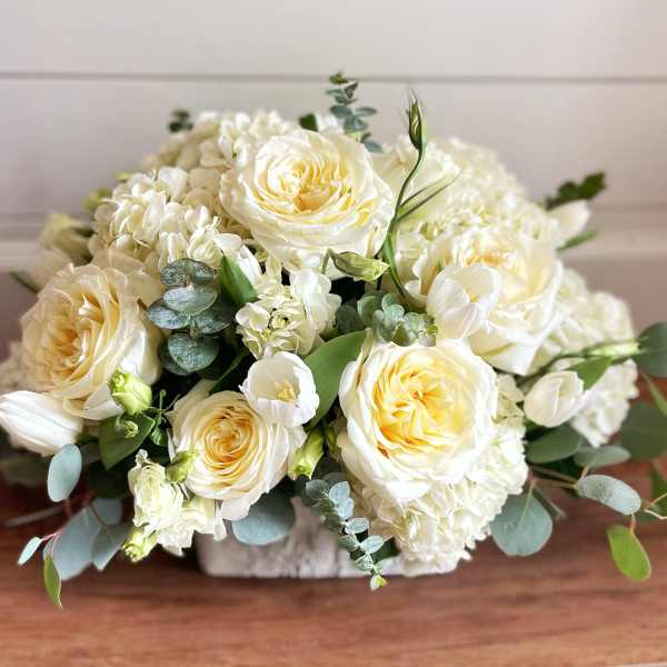 Cream rose bouquet with white hydrangeas and eucalyptus