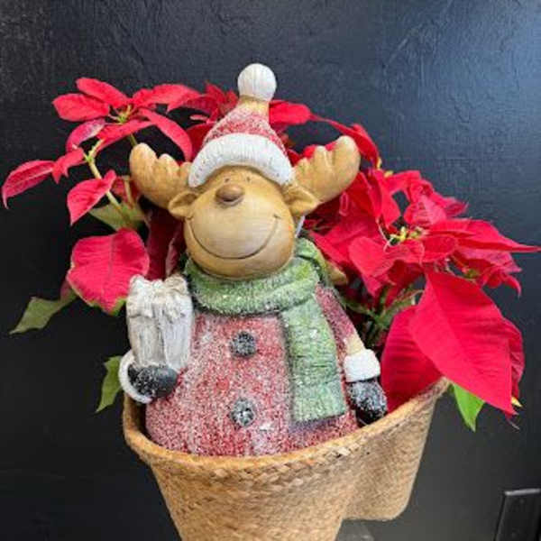 Reindeer figurine in a basket surrounded by red poinsettias