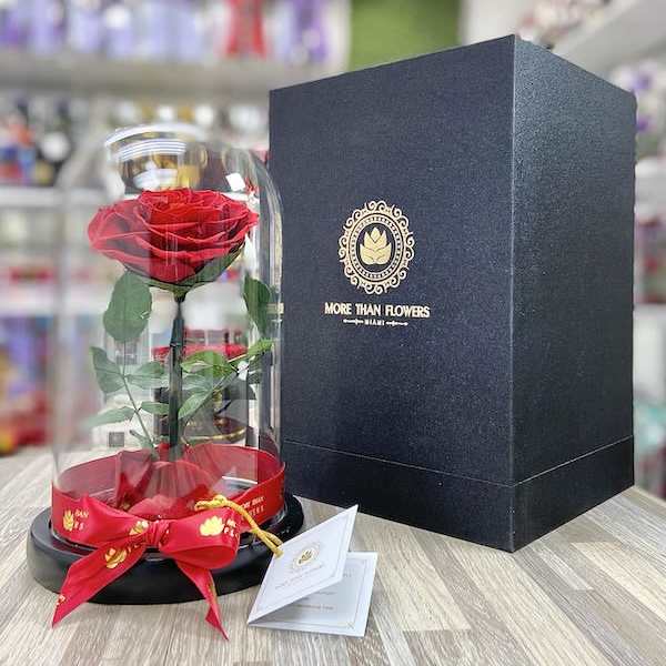 Single red rose under a glass dome with red ribbon beside a black gift box.