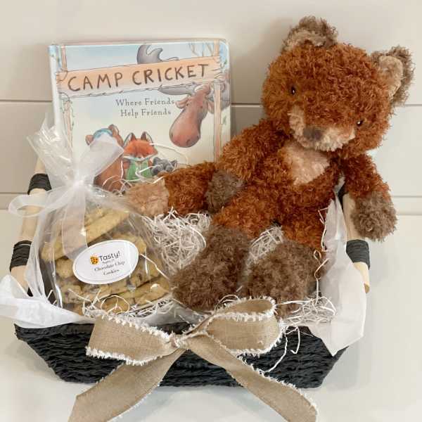 Gift basket with a teddy bear, cookies, and a book