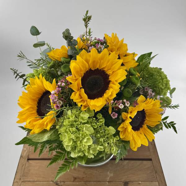 Low arrangement of bright yellow sunflowers with green hydrangeas in a clear glass vase.