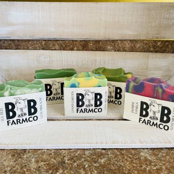 Five bars of colorful goat milk soap on a rustic shelf