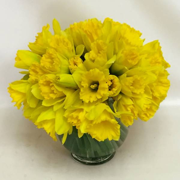 Compact arrangement of bright yellow daffodils in a round clear glass vase