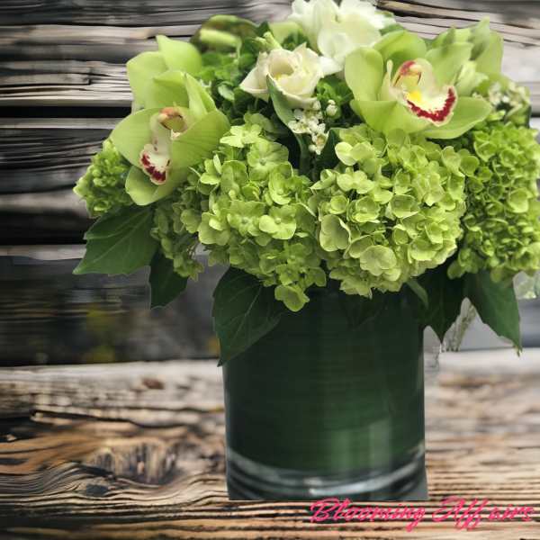 Green hydrangea and orchid arrangement in a dark vase