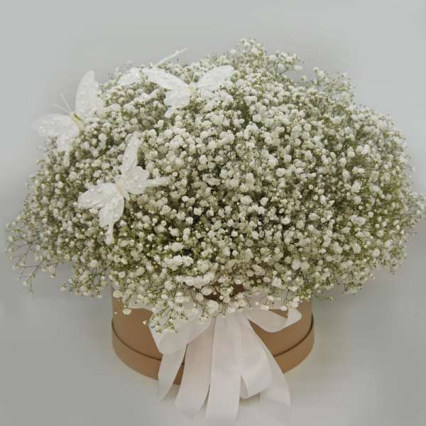 Round box of white baby's breath with a white ribbon and butterfly accents