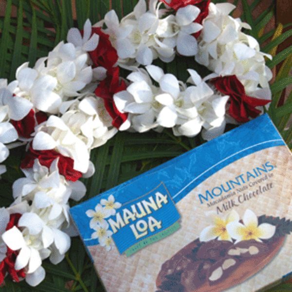 White and red flower lei beside a box of chocolate cake mix