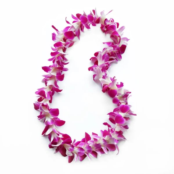 Pink and white orchid lei on a white background