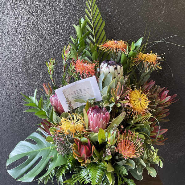 Showcase of Maui Trop2101