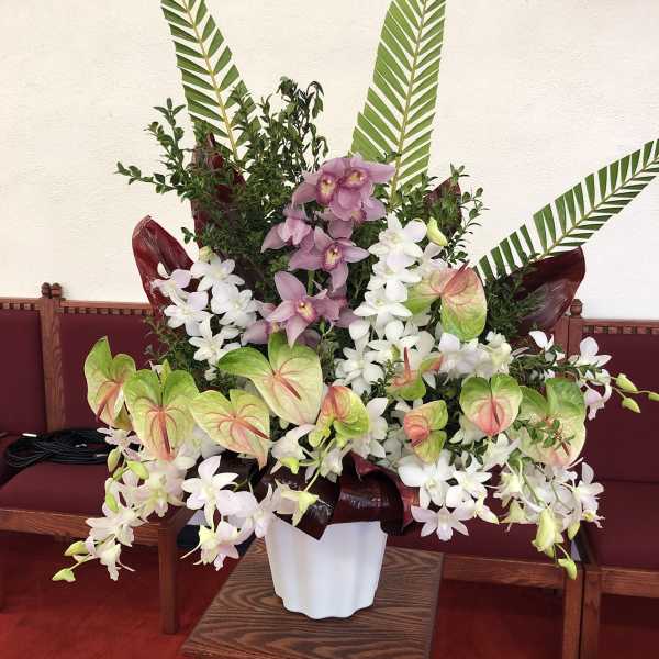 Tropical Adornment S10030