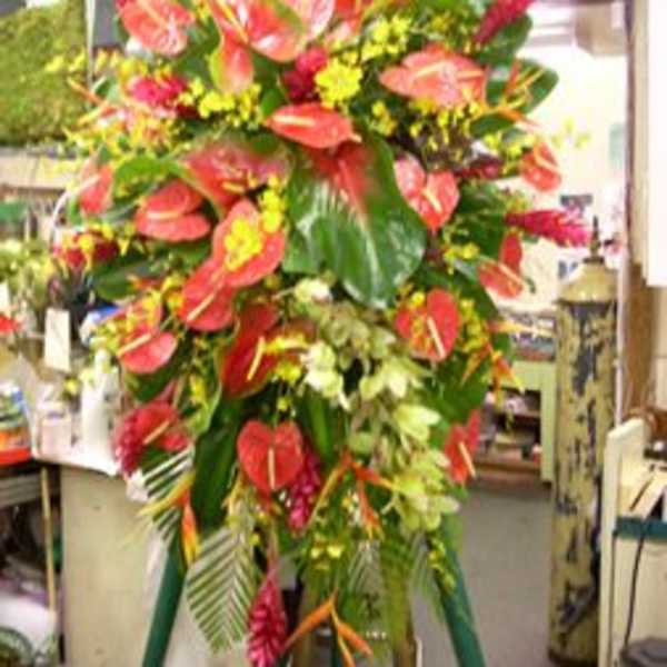Tall tropical flower arrangement with red anthuriums and bird of paradise