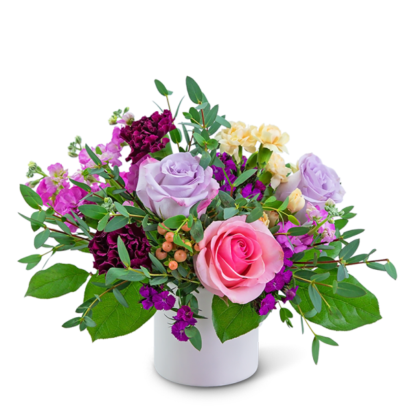 Pink and lavender roses in a white vase with purple and cream flowers