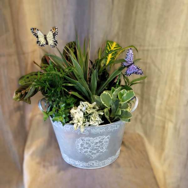 Mixed potted plants in a decorative metal bucket with butterfly picks