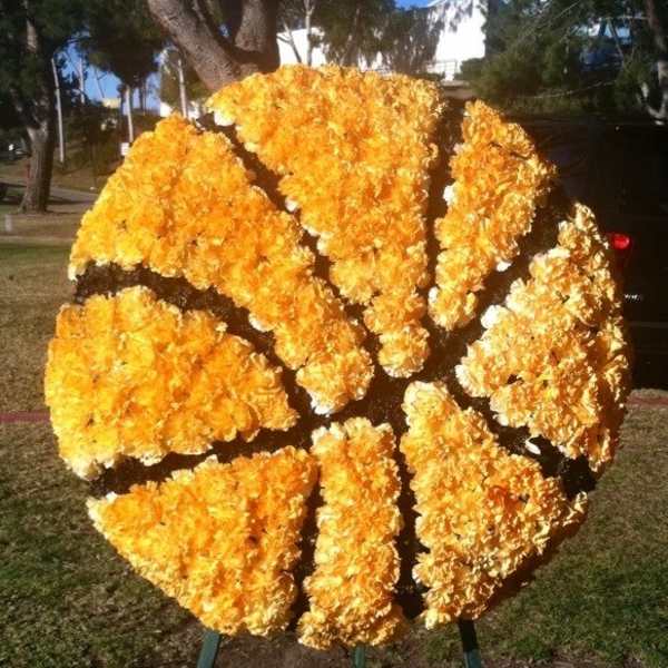 Basketball Standing Spray