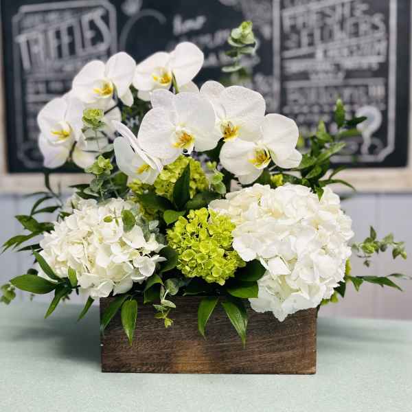 White orchids and hydrangeas in a wooden box arrangement