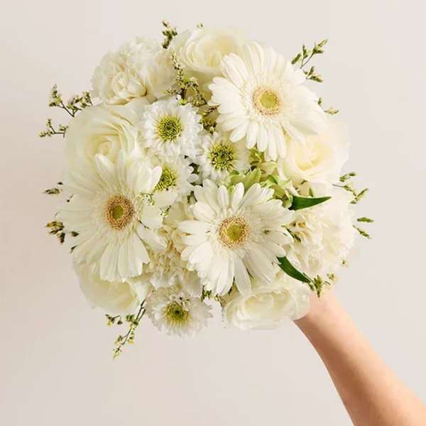 White bouquet with gerbera daisies and roses held in one hand