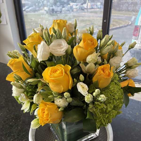 Yellow & Green (Sun and Earth)