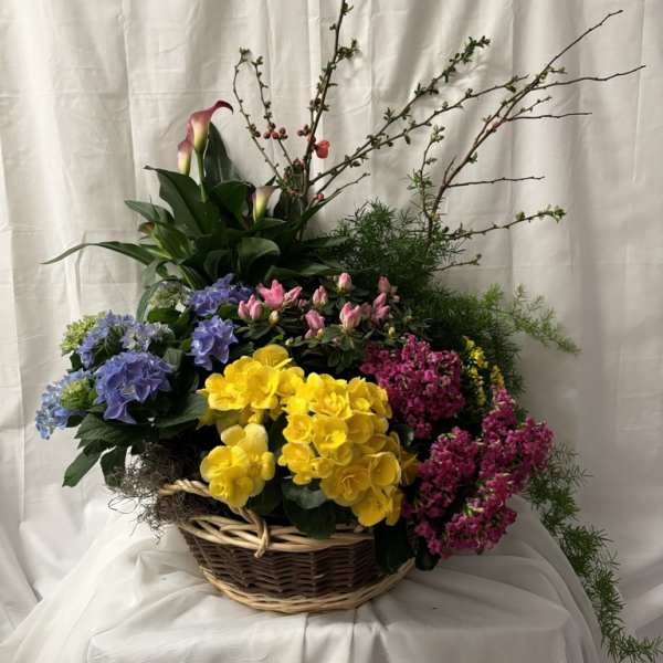 Basket arrangement with colorful flowers and tall branches