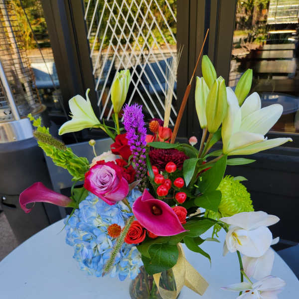 Designers Choice Bright and Contemporary