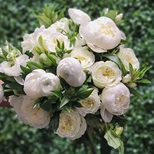 White ranunculus bouquet with green buds against a leafy background