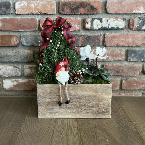 Small holiday planter with a miniature tree, white flowers, and a gnome in a wooden box