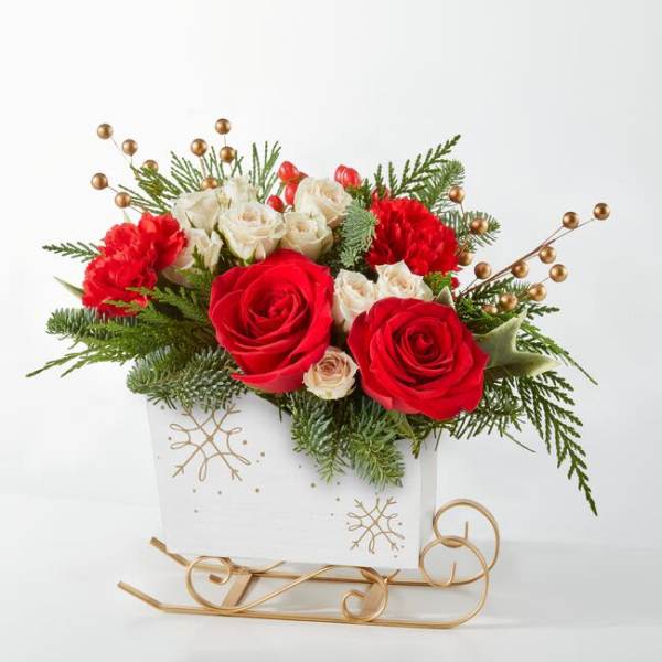 Red and white roses in a white holiday sleigh container