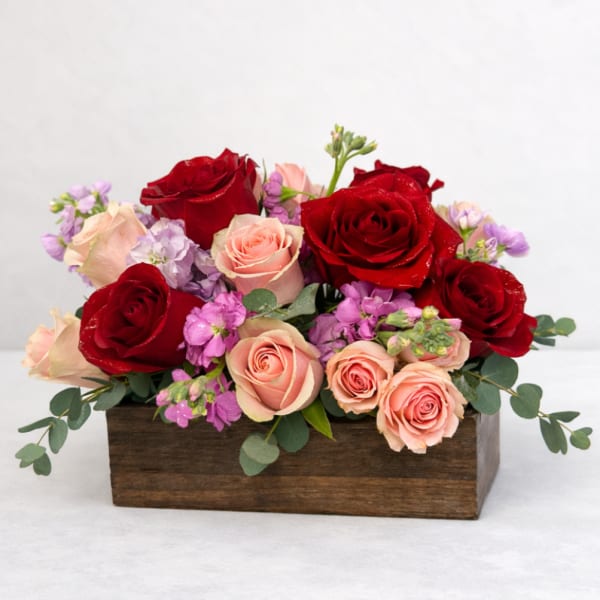 Red and blush roses with purple flowers in a wooden box