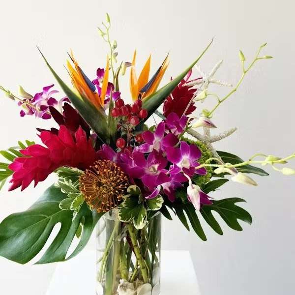 FLORIDA IN THE HOUSE