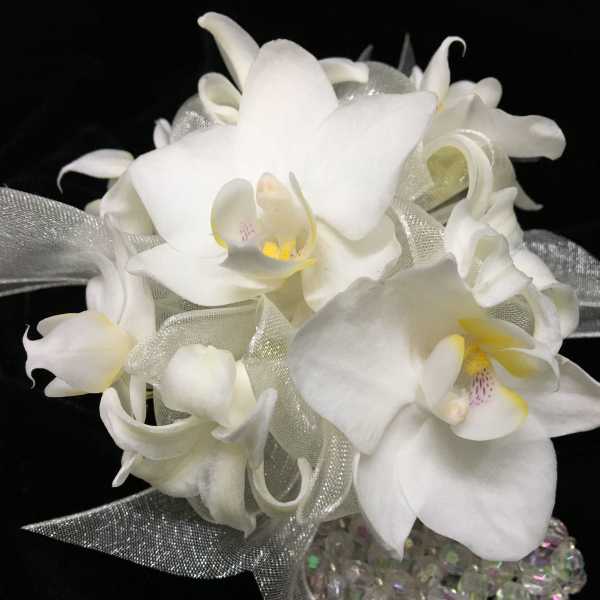 Platinum Corsage
